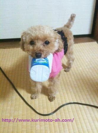 おしんカップくわえ.jpg