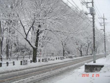 雪、五日市街道.JPG