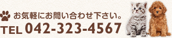 お気軽にお問い合わせ下さい。